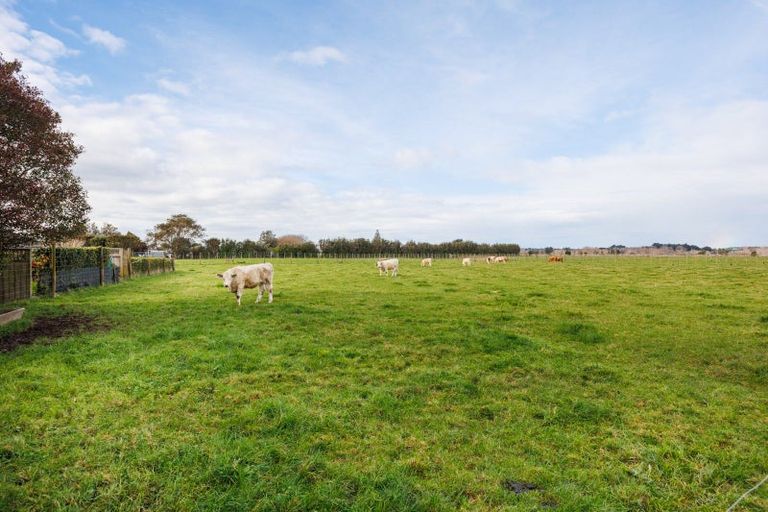 Photo of property in 187 High Street, Bulls, 4818