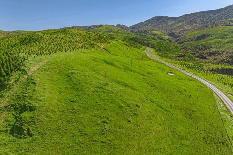 Photo of property in 3884 Pahiatua Pongaroa Road, Pongaroa, Pahiatua, 4989