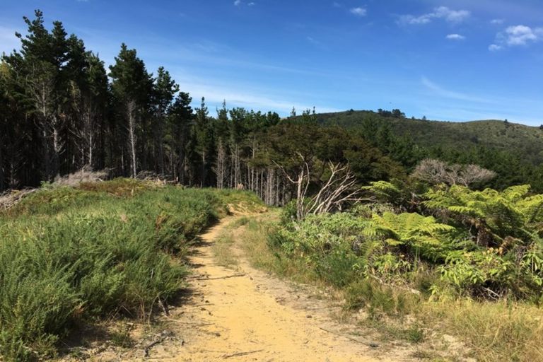 Photo of property in 89 Wharf Road, Colville, Coromandel, 3584