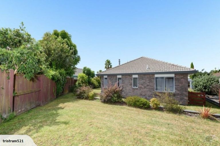 Photo of property in 19 Jasmine Place, Mount Maunganui, 3116