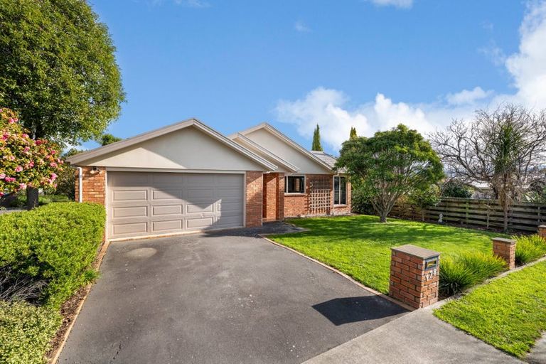 Photo of property in 178 Redwood Street, Witherlea, Blenheim, 7201