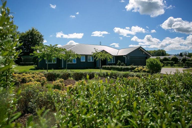 Photo of property in 14 Nikale Street, Cambridge, 3434