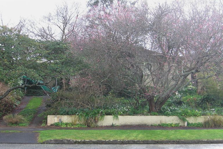 Photo of property in 37 Winston Avenue, Hokowhitu, Palmerston North, 4410