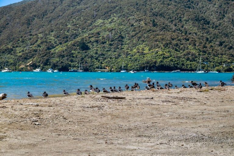 Photo of property in 289 Anakiwa Road, Anakiwa, Linkwater, 7281