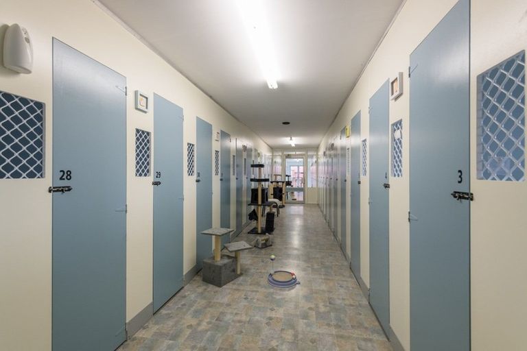 Photo of property in 138 White Road, Hope, Richmond, 7081