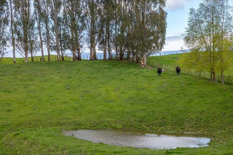 Photo of property in 48 Norsewood Ormondville Road, Norsewood, 4974