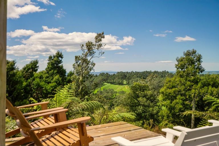 Photo of property in 677 Work Road, Whakamarama, Katikati, 3181