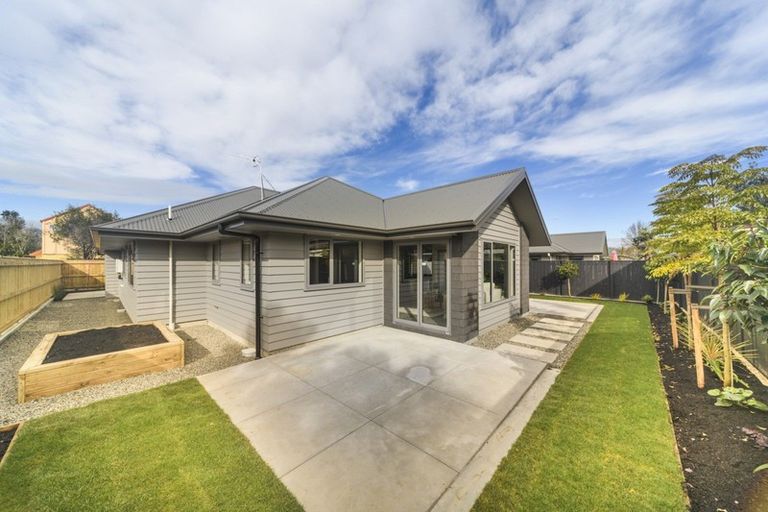 Photo of property in 48 Weston Avenue, Roslyn, Palmerston North, 4414
