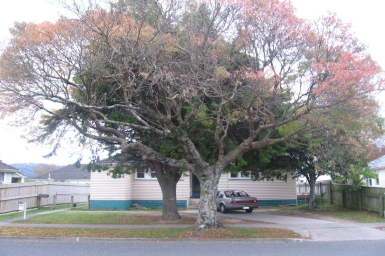 Photo of property in 255 Oxford Terrace, Avalon, Lower Hutt, 5011