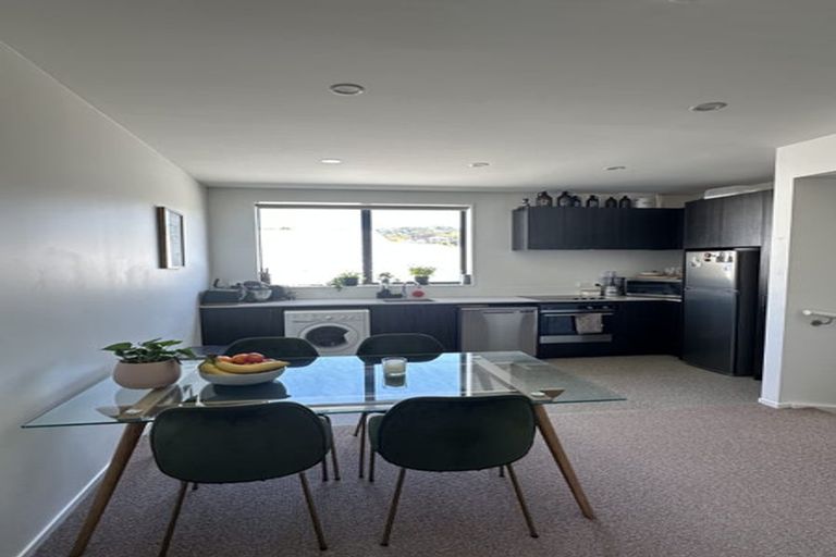 Photo of property in Aniva Terrace, 19 Arney Street, Newtown, Wellington, 6021