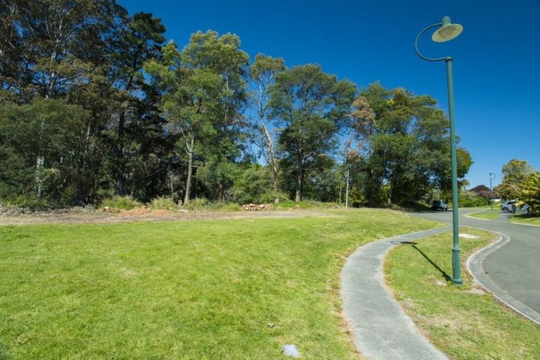 Photo of property in 18 Diana Avenue, Mangapapa, Gisborne, 4010