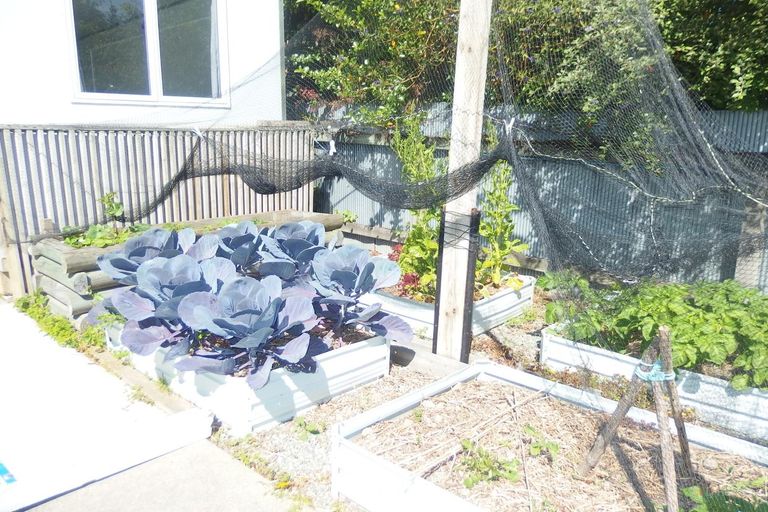 Photo of property in 29 Essex Street, Marchwiel, Timaru, 7910