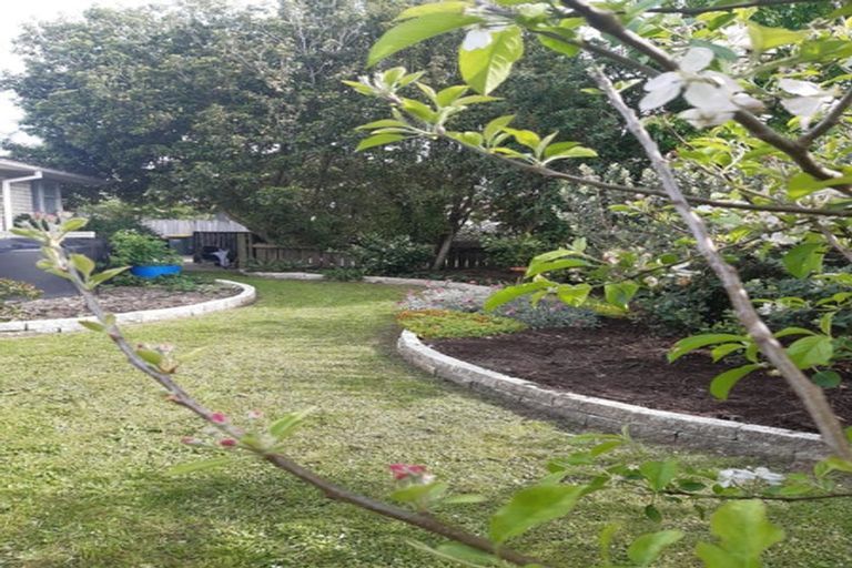 Photo of property in 26 Ryan Avenue, Chartwell, Hamilton, 3210