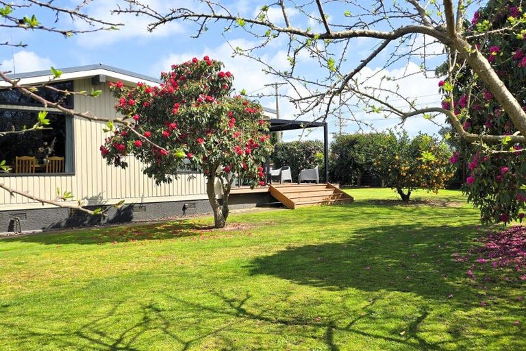 Photo of property in 314 Te Rahu Road, Poroporo, Whakatane, 3193