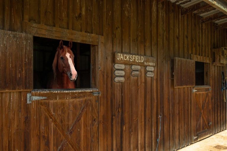 Photo of property in 295 Middle Renwick Road, Springlands, Blenheim, 7271