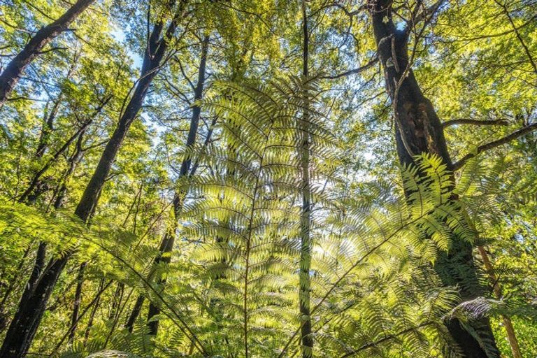 Photo of property in 184 Blue Duck Valley Road, Seaward Valley, Kaikoura, 7371