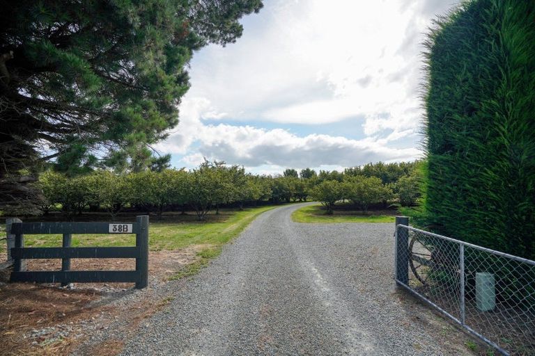 Photo of property in 38b Winton Lorneville Highway, Winton, 9781
