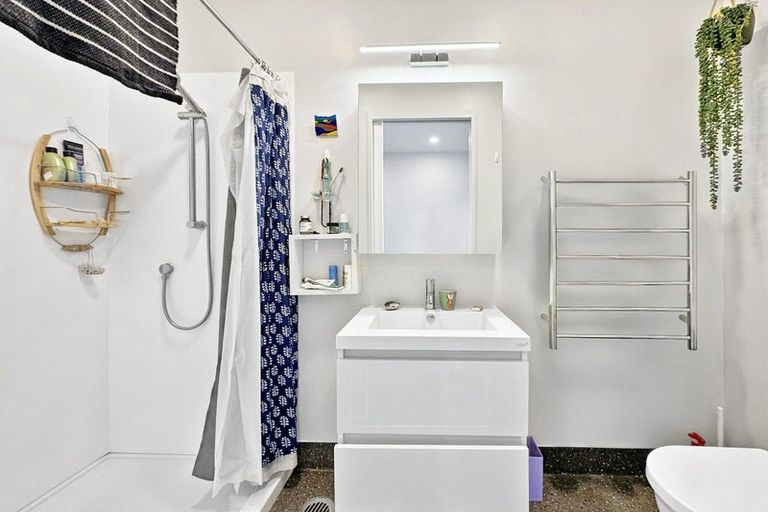 Photo of property in Aniva Terrace, 12 Arney Street, Newtown, Wellington, 6021