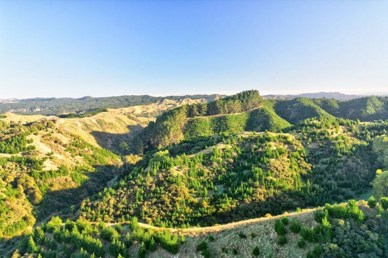 Photo of property in 751 Ongo Road, Hunterville, 4782