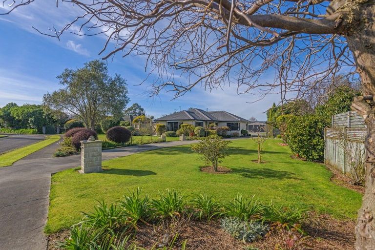 Photo of property in 31b Sherwill Street East, Feilding, 4702
