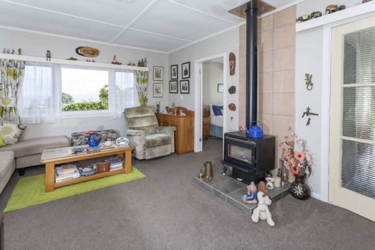 Photo of property in 20 Trotter Avenue, Waiomu, Thames, 3575