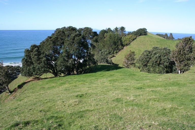 Photo of property in 341 Onemana Drive, Onemana, Whangamata, 3691