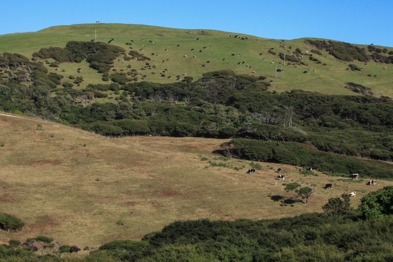 Photo of property in 1644a Whaanga Road, Raglan, 3296