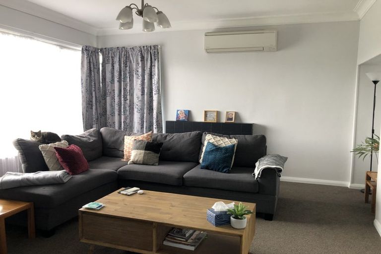 Photo of property in 33 Albert Street, Pahiatua, 4910