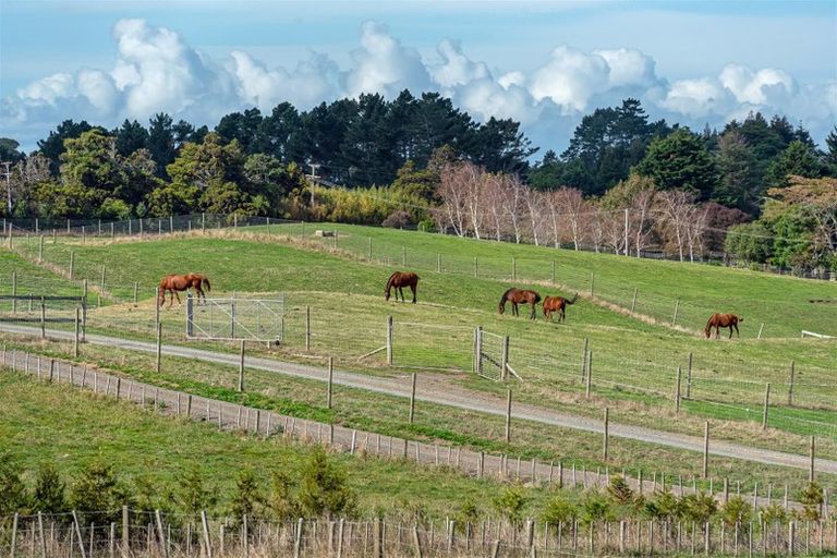 Photo of property in 139 Ostrich Farm Road, Pukekohe, 2676