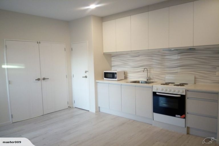 Photo of property in 17 Drumbuoy Drive, Flat Bush, Auckland, 2019