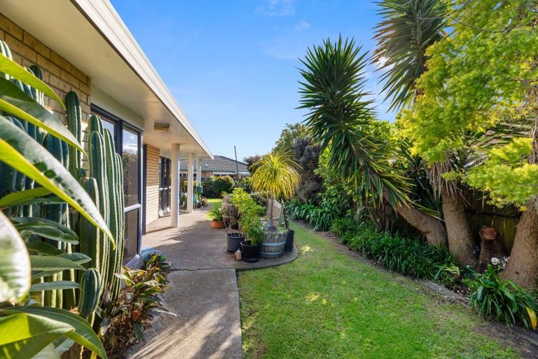 Photo of property in 29 Luculia Drive, Mount Maunganui, 3116