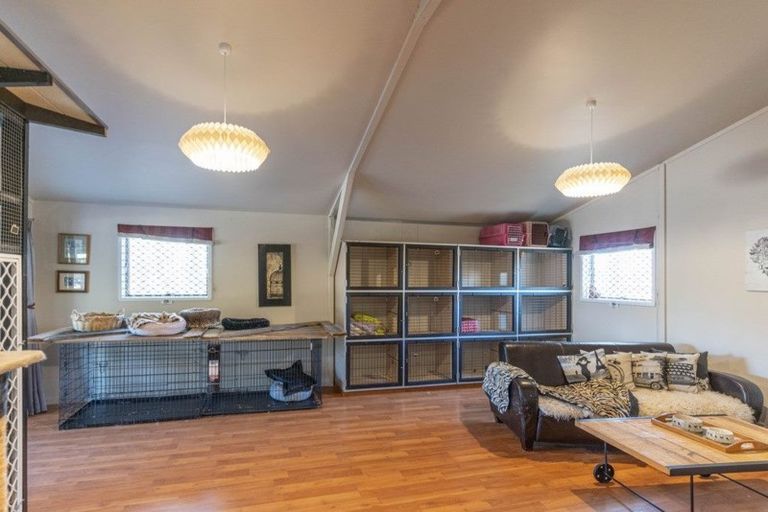 Photo of property in 492 Upper Plain Road, Upper Plain, Masterton, 5888