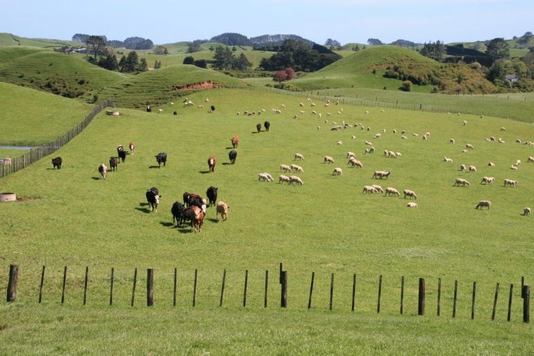 Photo of property in 98 Lincoln Road, Inglewood, 4389