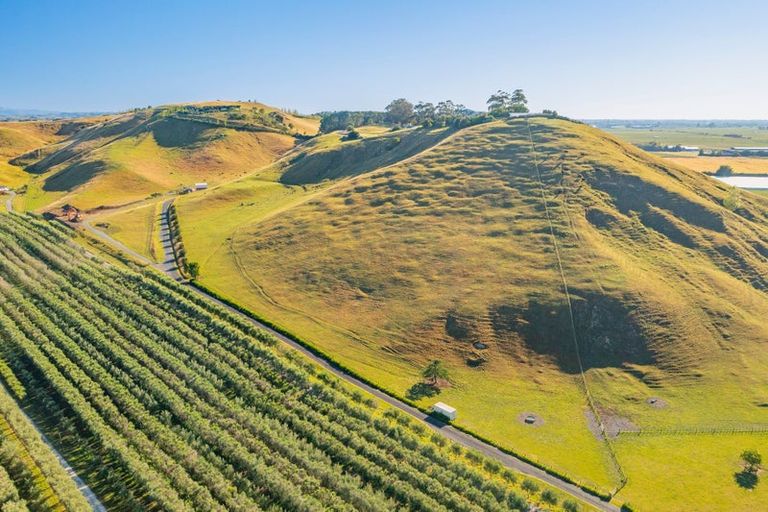 Photo of property in 2536 State Highway 50, Roys Hill, Hastings, 4175