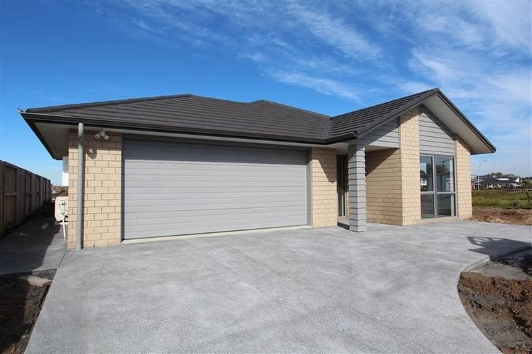 Photo of property in 45 Lulu Avenue, Chartwell, Hamilton, 3210