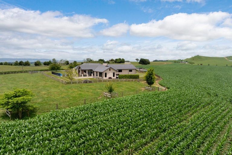 Photo of property in 23 Morgan Road, Matamata, 3472