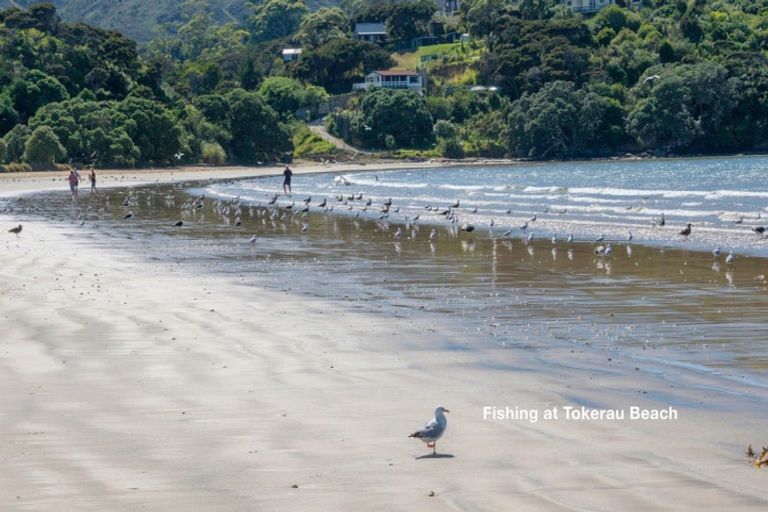 Photo of property in 262 Tokerau Beach Road, Karikari Peninsula, Kaitaia, 0483