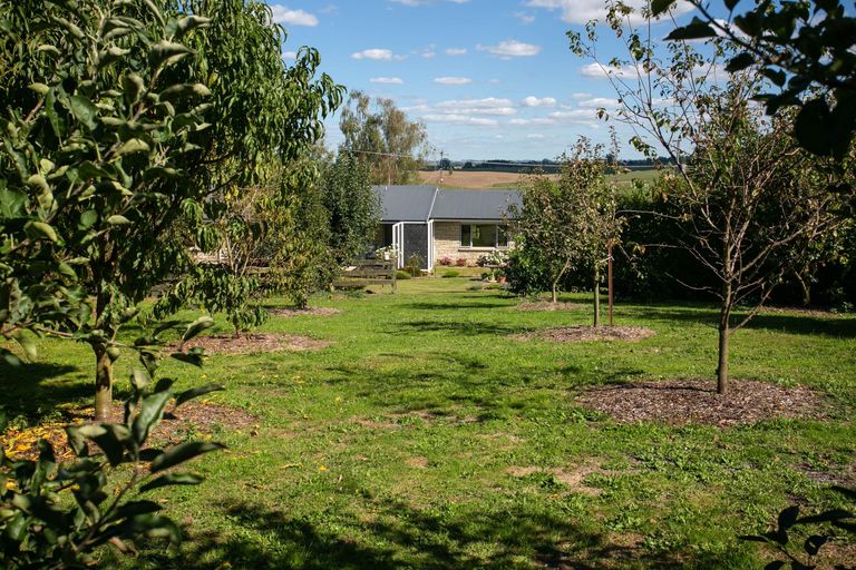 Photo of property in 171 Gunn Road, Waharoa, 3474