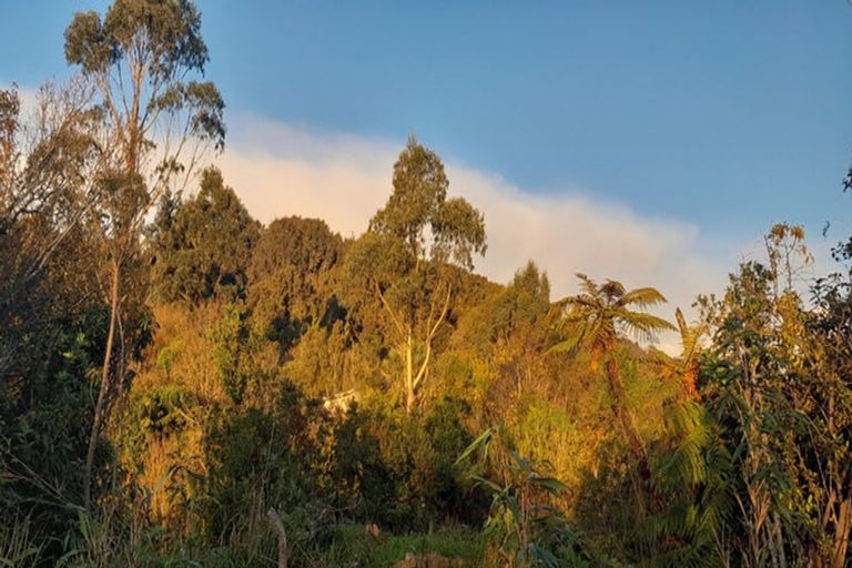 Photo of property in 42 Pitt Street, Runanga, 7803