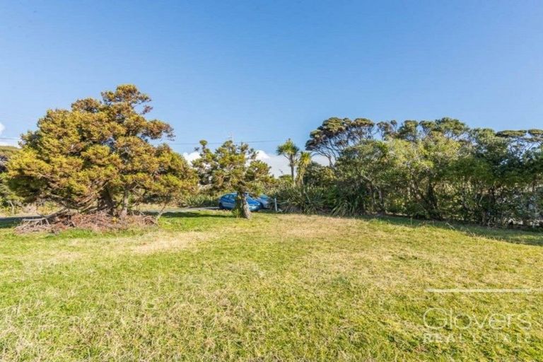Photo of property in 19 Te Ahuahu Road, Piha, 0772