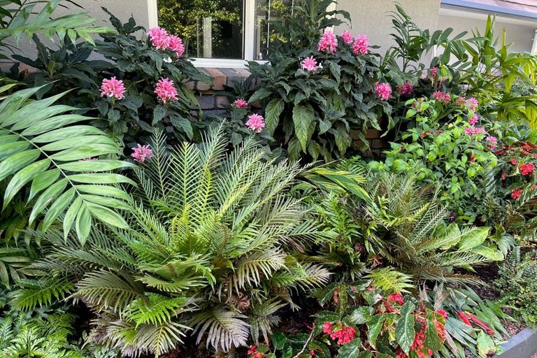 Photo of property in 2 Ascot Downs, Kerikeri, 0230