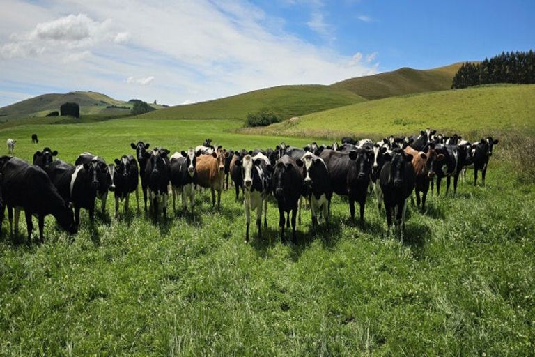 Photo of property in Porters Access Road, Kaeo, 0478