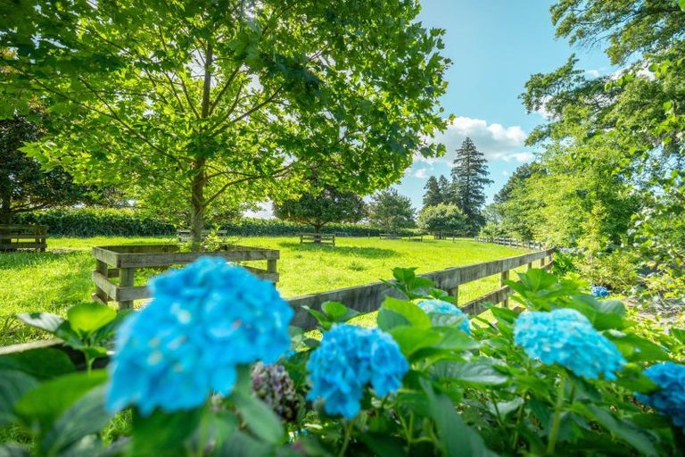 Photo of property in 662 Tauwhare Road, Matangi, Hamilton, 3287