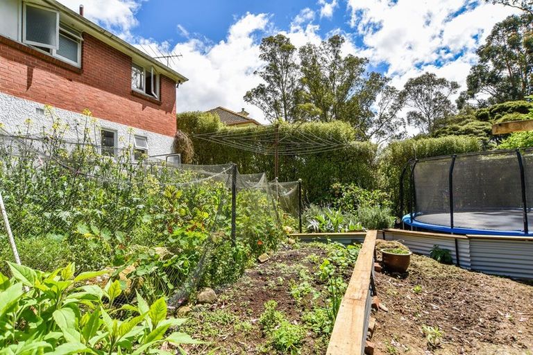 Photo of property in 47 Cockerell Street, Brockville, Dunedin, 9011