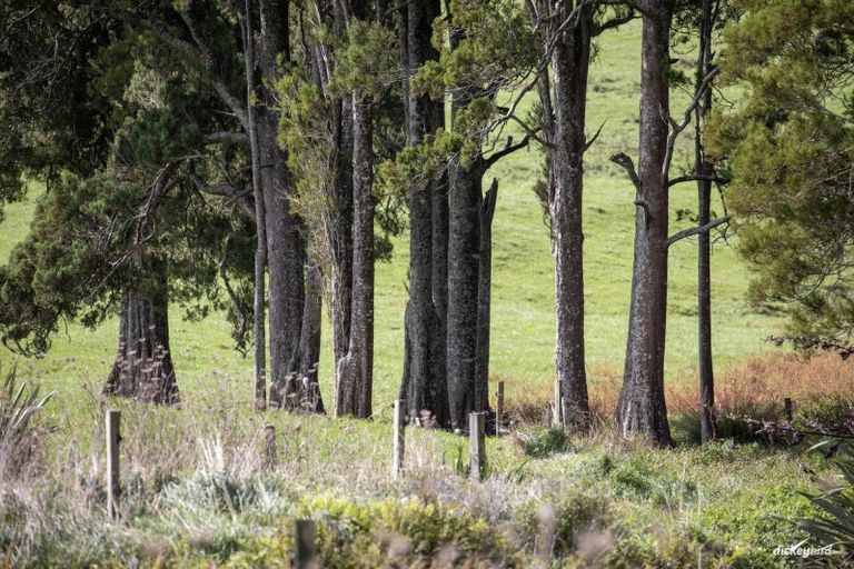 Photo of property in 646 Te Mata Road, Raglan, 3296