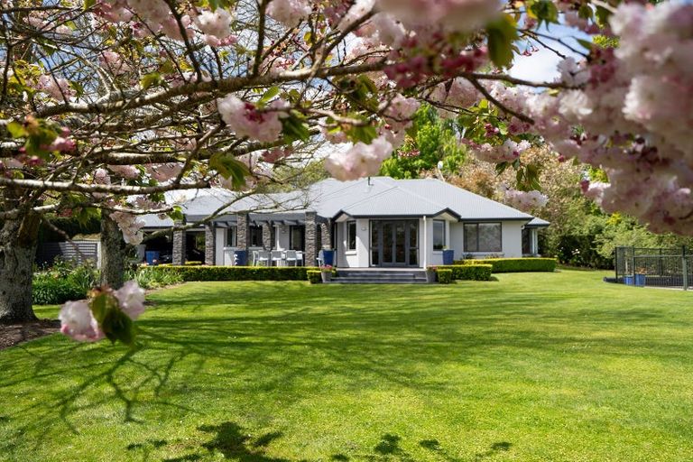 Photo of property in 80 Maungakawa Road, Cambridge, 3496