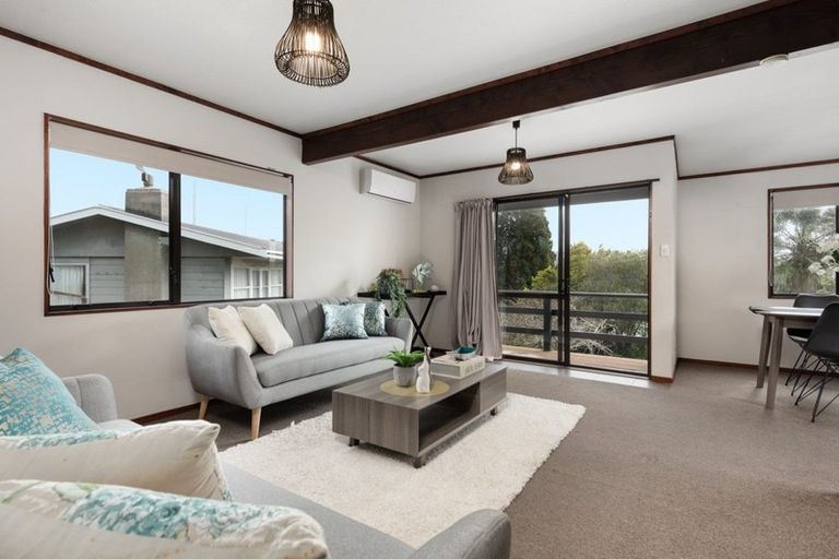 Photo of property in 164a Kingswood Road, Brookfield, Tauranga, 3110