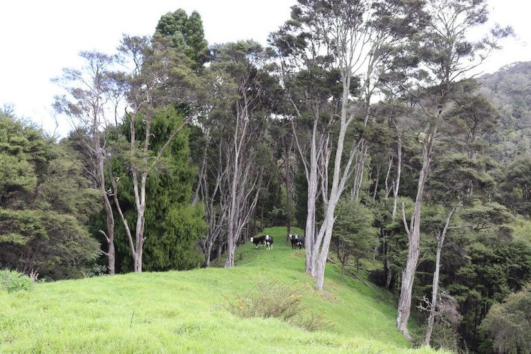 Photo of property in 51a Waingaro Road, Ngaruawahia, 3720