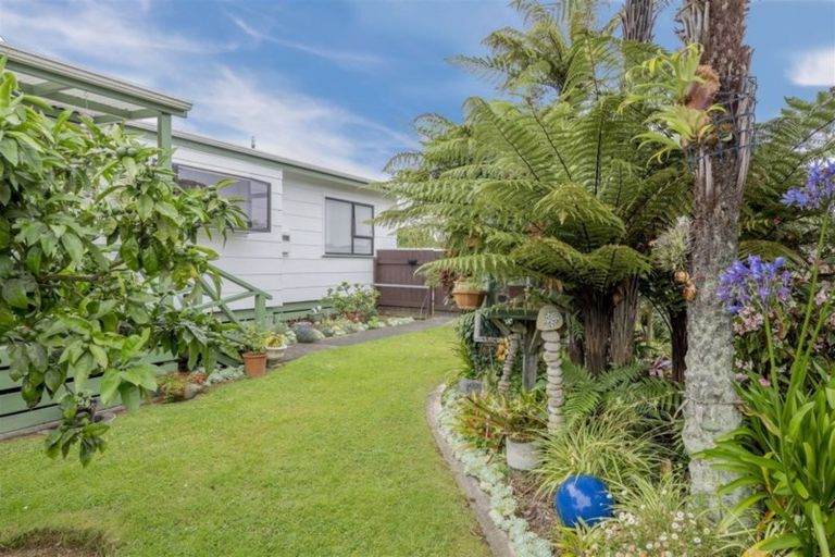 Photo of property in 87 Kennedy Drive, Levin, 5510