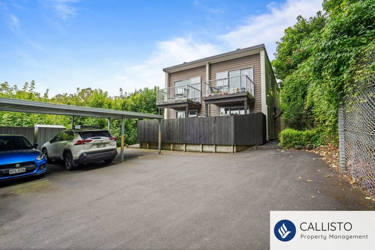 Photo of property in 66a Maclaggan Street, Dunedin Central, Dunedin, 9016